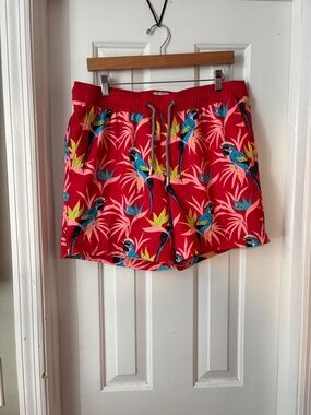 Party pants swim shorts